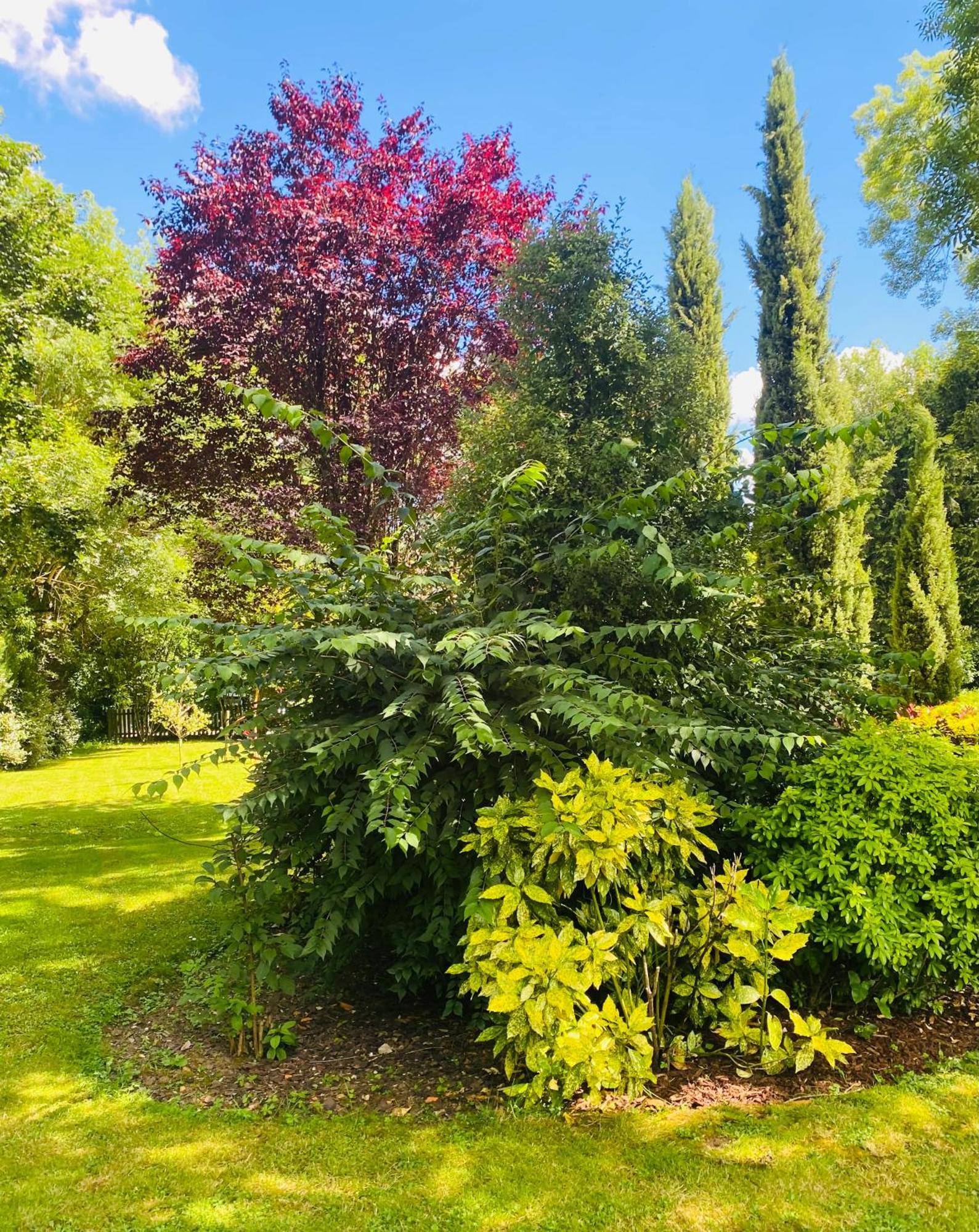 Moulin Du Fontcourt Bed & Breakfast Chasseneuil-sur-Bonnieure Exterior photo